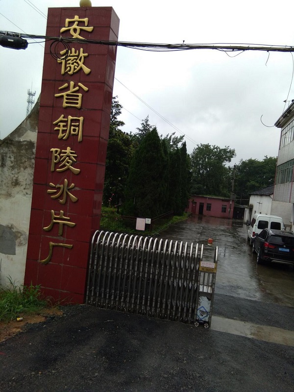 安徽省铜陵冰片厂安全生产许可证换证条件安全现状评价报告